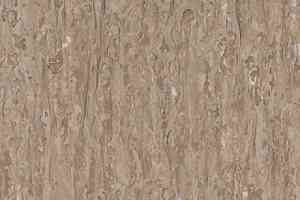 Линолеум Tarkett iq Optima GREY BEIGE 0820 фото  | FLOORDEALER